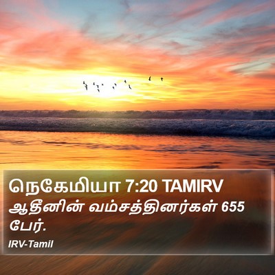 நெகேமியா 7:20 TAMIRV Bible Verse Image