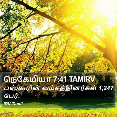 நெகேமியா 7:41 TAMIRV Bible Verse Image