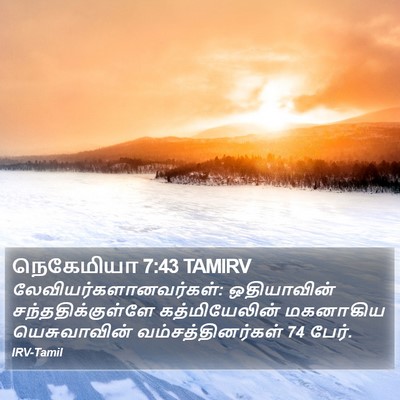 நெகேமியா 7:43 TAMIRV Bible Verse Image