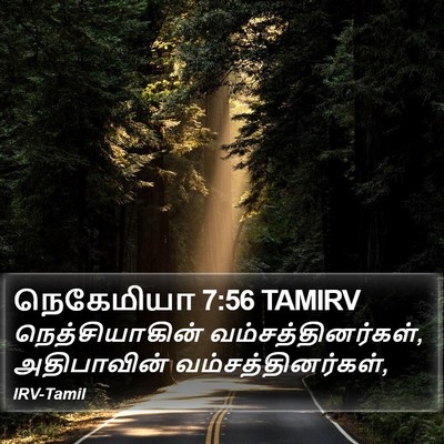 நெகேமியா 7:56 TAMIRV Bible Verse Image