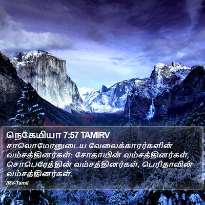 நெகேமியா 7:57 TAMIRV Bible Verse Image