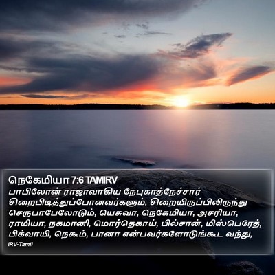நெகேமியா 7:6 TAMIRV Bible Verse Image