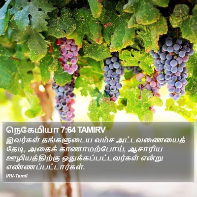 நெகேமியா 7:64 TAMIRV Bible Verse Image