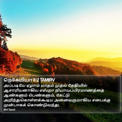 நெகேமியா 8:2 TAMIRV Bible Verse Image