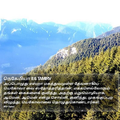 நெகேமியா 8:6 TAMIRV Bible Verse Image