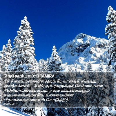 நெகேமியா 9:13 TAMIRV Bible Verse Image