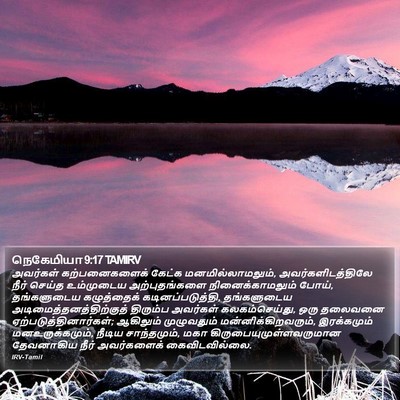 நெகேமியா 9:17 TAMIRV Bible Verse Image