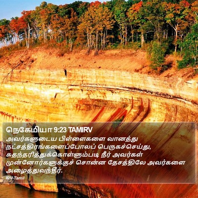 நெகேமியா 9:23 TAMIRV Bible Verse Image