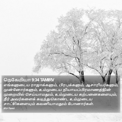 நெகேமியா 9:34 TAMIRV Bible Verse Image