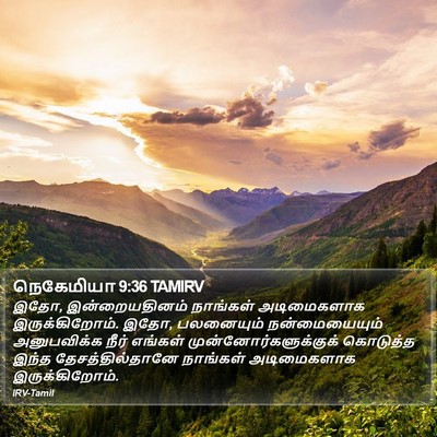 நெகேமியா 9:36 TAMIRV Bible Verse Image