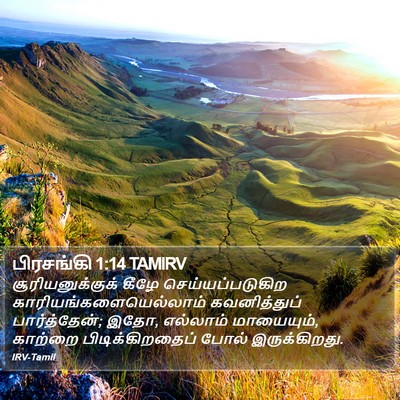 பிரசங்கி 1:14 TAMIRV Bible Verse Image