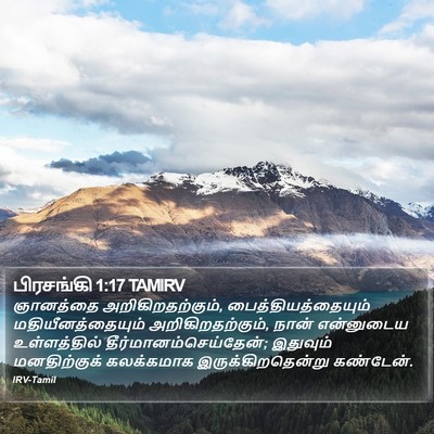 பிரசங்கி 1:17 TAMIRV Bible Verse Image