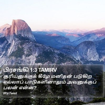 பிரசங்கி 1:3 TAMIRV Bible Verse Image