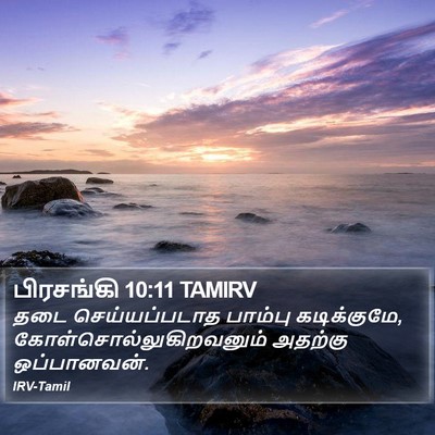 பிரசங்கி 10:11 TAMIRV Bible Verse Image