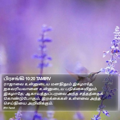 பிரசங்கி 10:20 TAMIRV Bible Verse Image