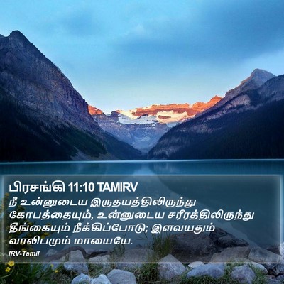 பிரசங்கி 11:10 TAMIRV Bible Verse Image