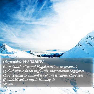 பிரசங்கி 11:3 TAMIRV Bible Verse Image