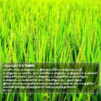 பிரசங்கி 11:9 TAMIRV Bible Verse Image