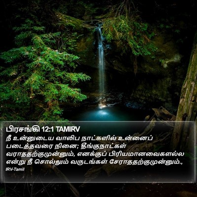 பிரசங்கி 12:1 TAMIRV Bible Verse Image