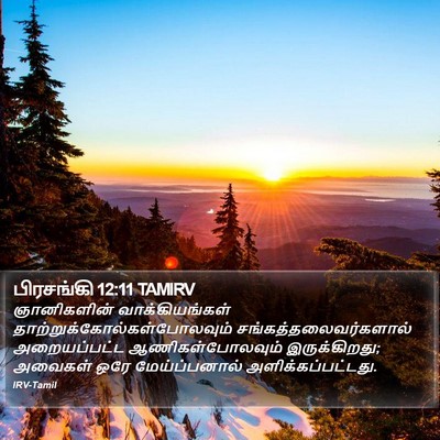 பிரசங்கி 12:11 TAMIRV Bible Verse Image