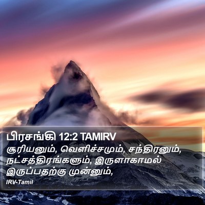 பிரசங்கி 12:2 TAMIRV Bible Verse Image