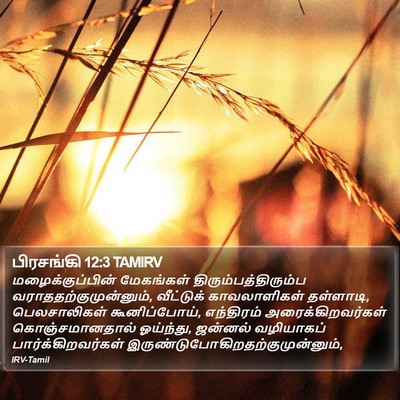 பிரசங்கி 12:3 TAMIRV Bible Verse Image