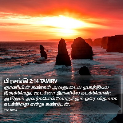 பிரசங்கி 2:14 TAMIRV Bible Verse Image