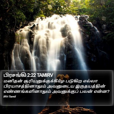பிரசங்கி 2:22 TAMIRV Bible Verse Image