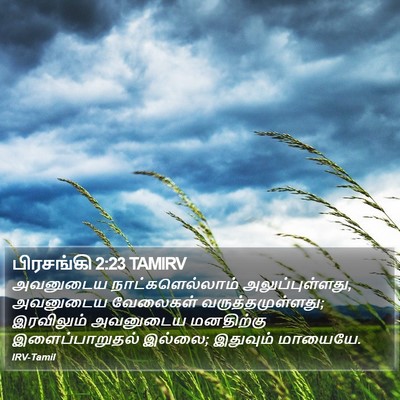 பிரசங்கி 2:23 TAMIRV Bible Verse Image