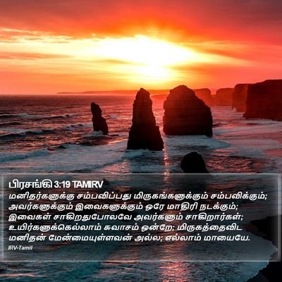 பிரசங்கி 3:19 TAMIRV Bible Verse Image
