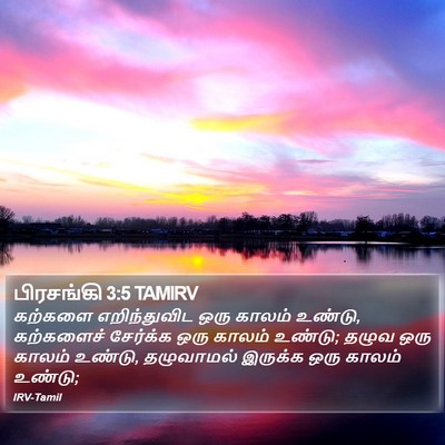 பிரசங்கி 3:5 TAMIRV Bible Verse Image