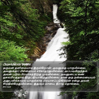 பிரசங்கி 4:8 TAMIRV Bible Verse Image