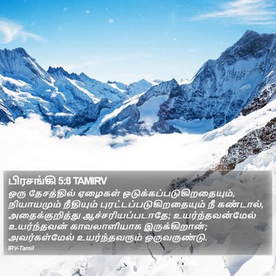 பிரசங்கி 5:8 TAMIRV Bible Verse Image