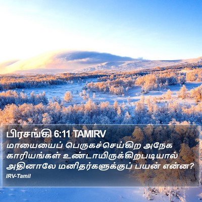 பிரசங்கி 6:11 TAMIRV Bible Verse Image