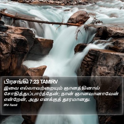 பிரசங்கி 7:23 TAMIRV Bible Verse Image