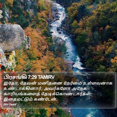 பிரசங்கி 7:29 TAMIRV Bible Verse Image