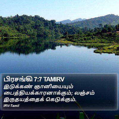 பிரசங்கி 7:7 TAMIRV Bible Verse Image