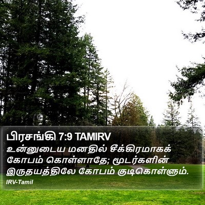 பிரசங்கி 7:9 TAMIRV Bible Verse Image