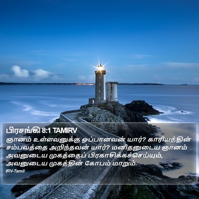 பிரசங்கி 8:1 TAMIRV Bible Verse Image