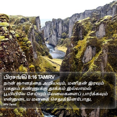 பிரசங்கி 8:16 TAMIRV Bible Verse Image