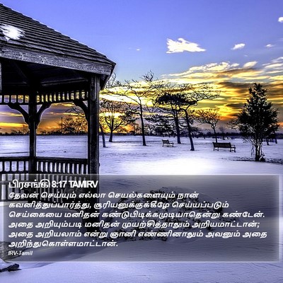 பிரசங்கி 8:17 TAMIRV Bible Verse Image