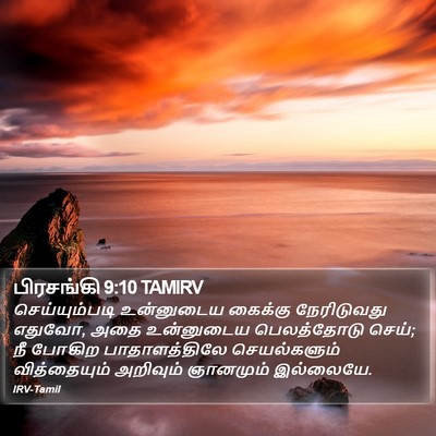 பிரசங்கி 9:10 TAMIRV Bible Verse Image
