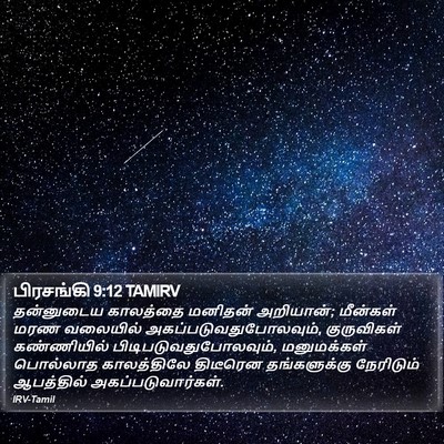பிரசங்கி 9:12 TAMIRV Bible Verse Image