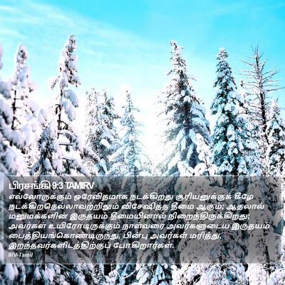 பிரசங்கி 9:3 TAMIRV Bible Verse Image