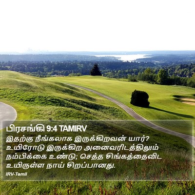 பிரசங்கி 9:4 TAMIRV Bible Verse Image