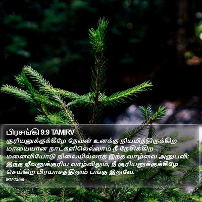 பிரசங்கி 9:9 TAMIRV Bible Verse Image
