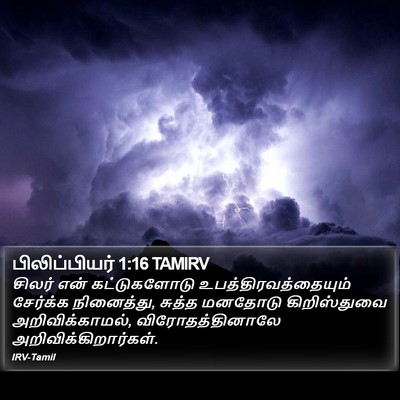 பிலிப்பியர் 1:16 TAMIRV Bible Verse Image