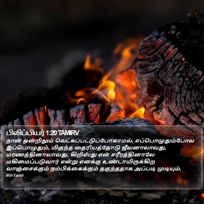 பிலிப்பியர் 1:20 TAMIRV Bible Verse Image