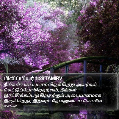 பிலிப்பியர் 1:28 TAMIRV Bible Verse Image