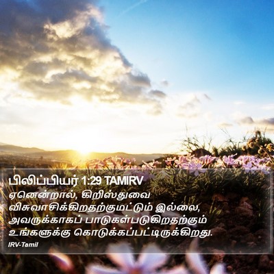 பிலிப்பியர் 1:29 TAMIRV Bible Verse Image